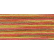 DMC Coloris vícebarevná vyšívací příze, odstín 4510 "Javor"